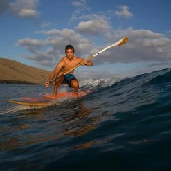 Fanatic Bamboo Carbon 50 7.25'' 3-Piece Paddel Brown/White Damen, Herren -Aqua Marina Shop unnamed file 1172